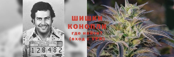 прущие грибы Магас