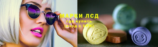 прущие грибы Магас