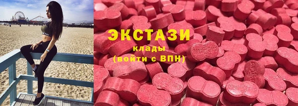 прущие грибы Магас