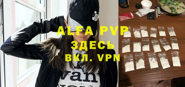прущие грибы Магас