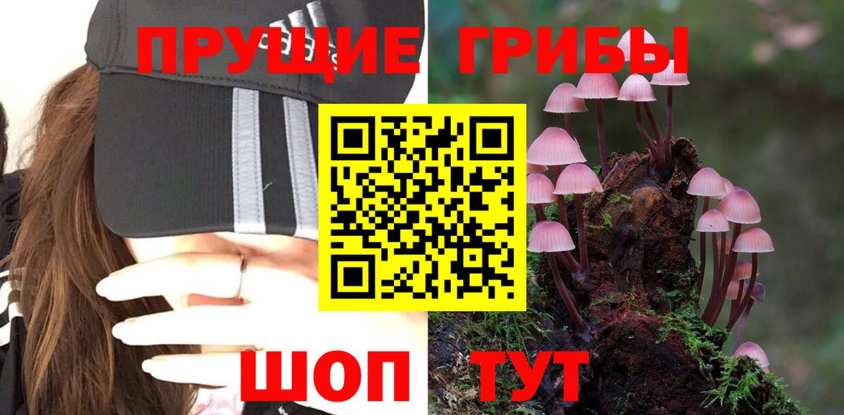 Галлюциногенные грибы ЛСД Углич